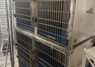 WhatsApp-Image-2025-08-24-at-10.59.52-AM-10