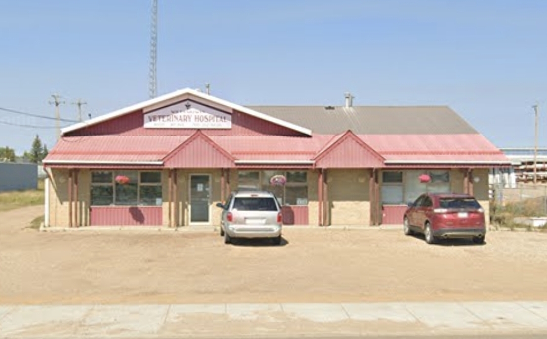 Veterinary Receptionist Opportunity