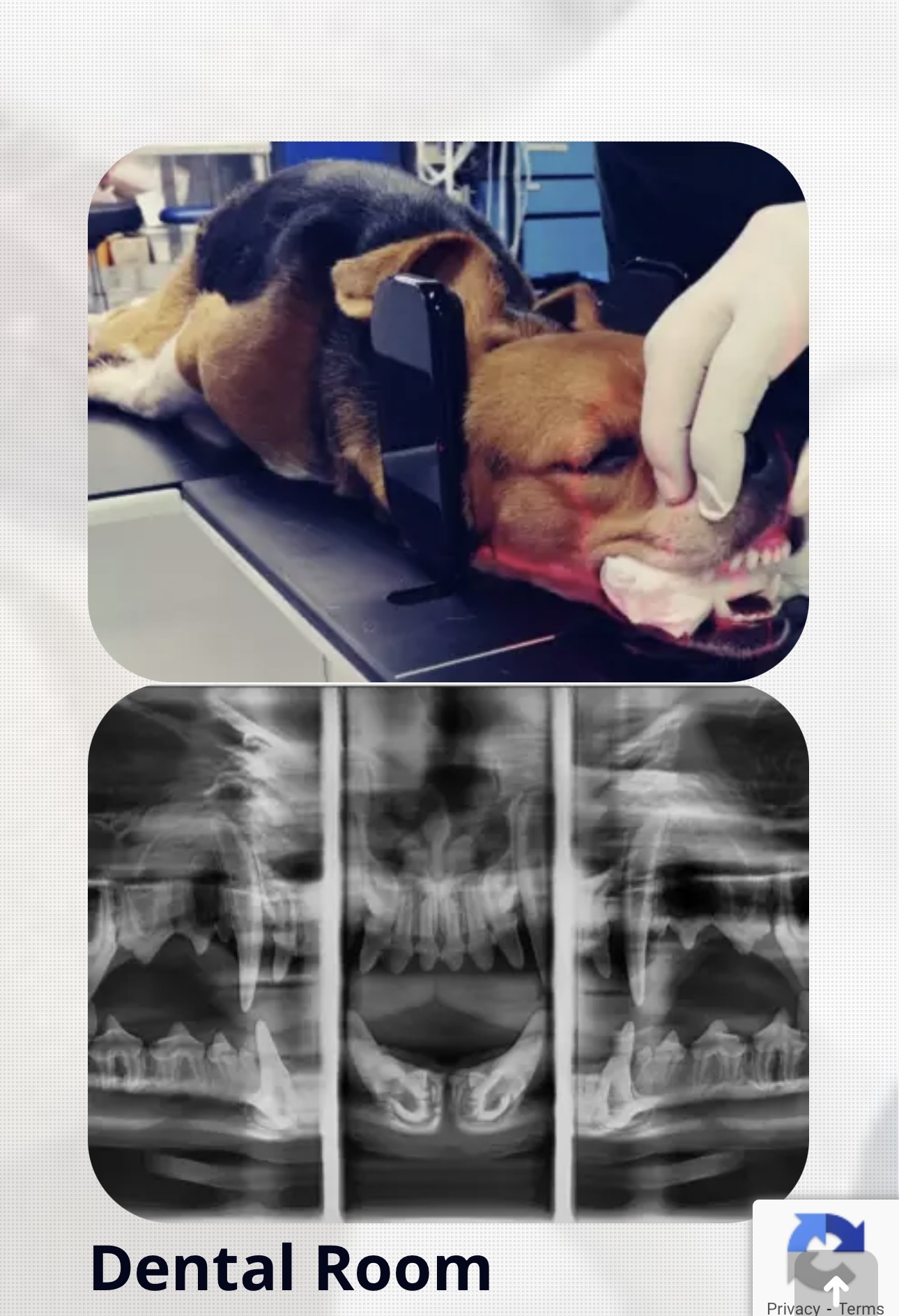 Panoramic Dental X-Ray Machine