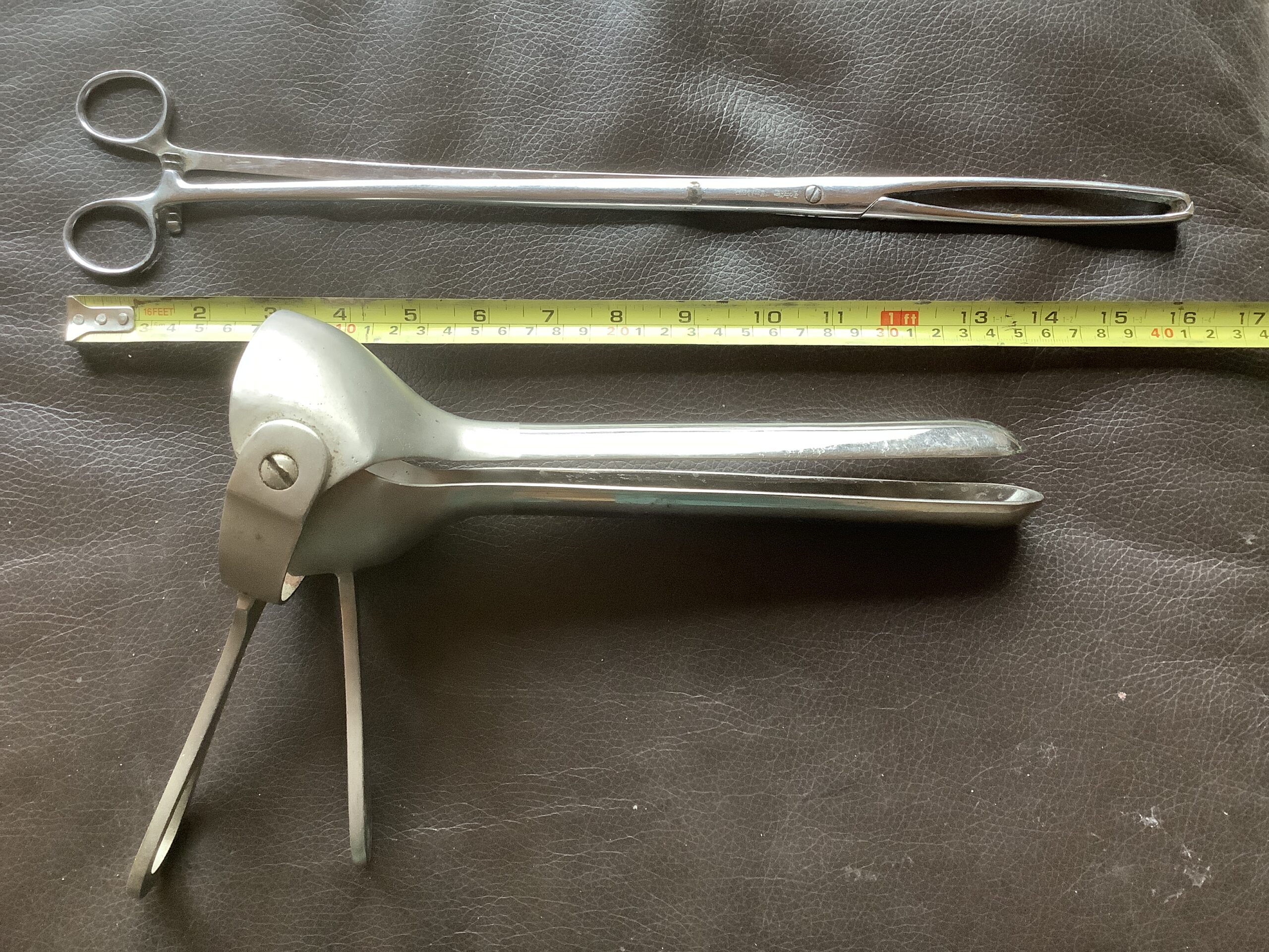 Speculum Lange Animals